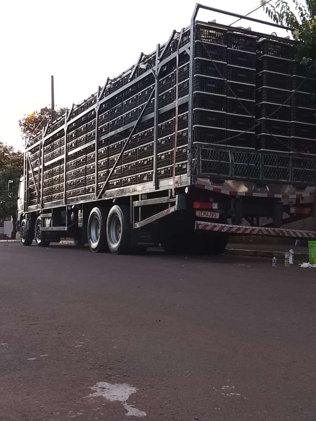 Gaiola para Carga Viva — Evolog Transportes
